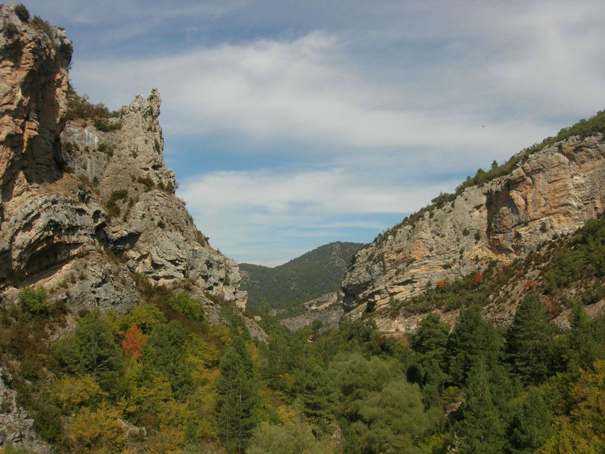Exploring & Rewilding the Iberian Highlands